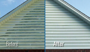 Siding Pressure Washing